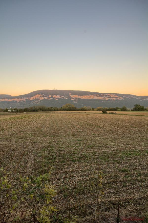 Montalieu Sejour 2 Maisons, Les Tulipes Ou Les Bambous Exterior foto