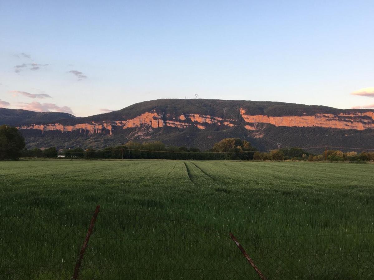 Montalieu Sejour 2 Maisons, Les Tulipes Ou Les Bambous Exterior foto